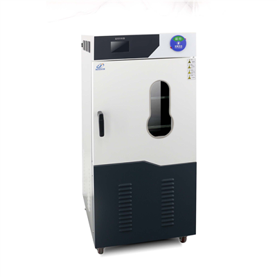 高真空全自动草莓视频污无线观看DZF-6250DC(250L)