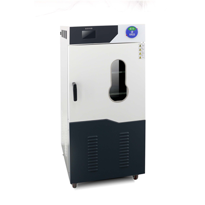 全自动草莓视频污无线观看型号：DZF-6250C(250L)